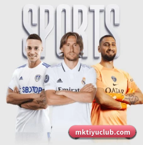 MK体育 APP - mksports